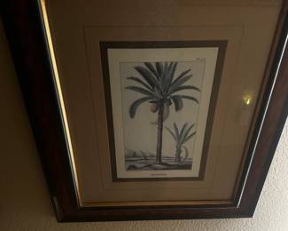 Palm Art