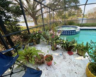 numerous pots and plants for sale