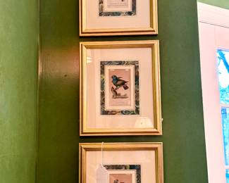 $350 - 19th Century Bird Engraving  from Brilliant Antiques (set of 3) 