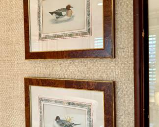 $300 - Duck Hand-colored Engraving w/ walnut frame (4-available) 17x14.5 