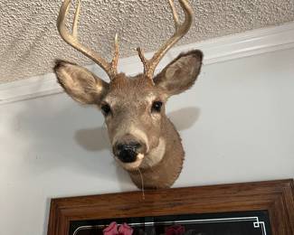 Deer Head