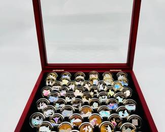 Holographic Gold Plated State Quarters Collection
