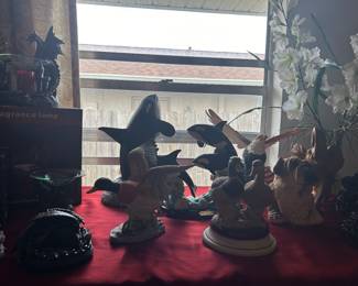 Dolphins and Birds