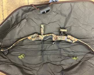 Compound bow with the case