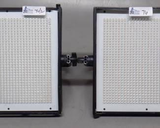 LOT OF 2 DRACAST BI COLOR LIGHTS