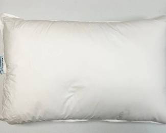 Hotel Pillows - large quantity, famous brand