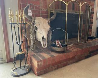 Cow Skull Taxidermy