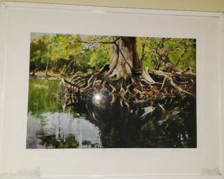"Cypress at Turner Bridge" by Jim Draper - Giclee 27" x 18"