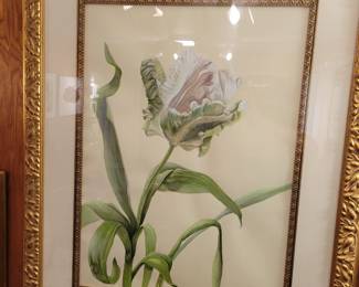 Suzanne Magee- Watercolor - Parrot Tulip 28" x 21", 42" x 33.5"
