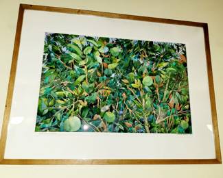 "September Oranges" Watercolor by Mark Howard- 20.5" x 13.5"