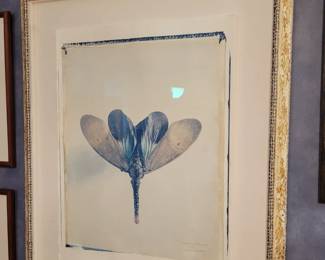 Fulgora Pyrorhymena - Signed Hand Painted Polarois Image Transfer on Fabriano Paper (39"x 31") by Linda Broadfoot  41" x 34"