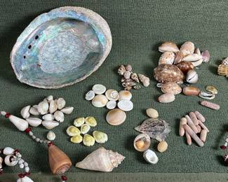 Loose Shells For Shell Craft