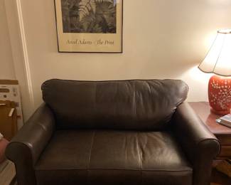 Sleeping Sofa /Love Seat