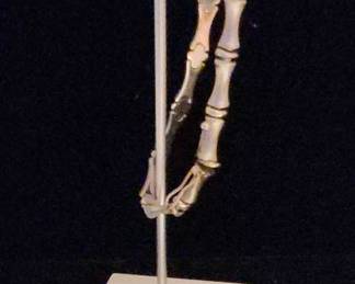 10k White Gold Bracelet