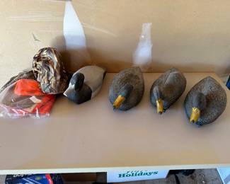 Decoy ducks