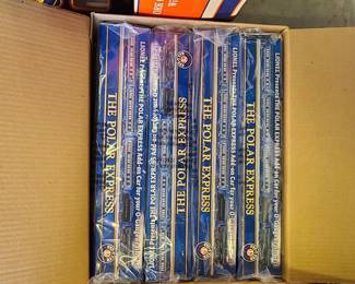 Polar express train set