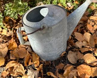 Galvanized watering can