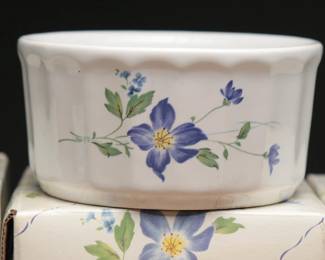 Mikasa Maxima Rotunda