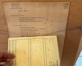 #27 - $90 - Framed Print of Pinup Woman 15"Wx18"H