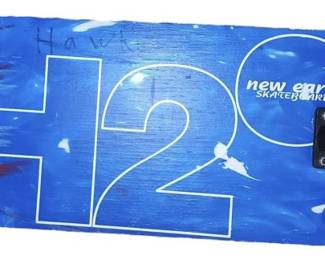 New Earth Skateboard
