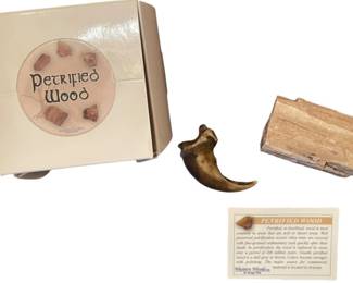 Petrified Wood Claw