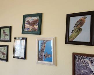 Flagler County Birds.