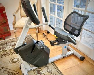 Xterra reclining bicycle