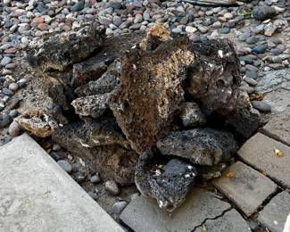 Lava rock for sale