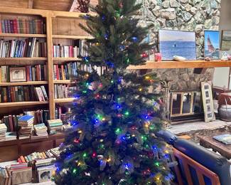 Christmas Tree with lights for sale!!!