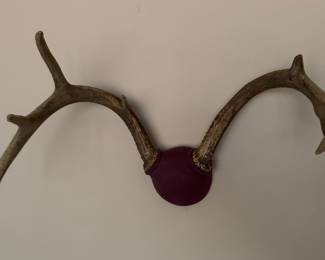 Of course we have antlers, we are in the wilds here also, it’s opening weekend- we got the one newbie hunter, cousin’s in-law (who invited  them?) that didn’t pack orange covered.