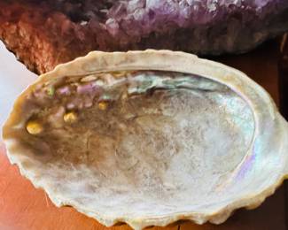Abalone shell