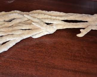 Creepy coral - relax, it’s dead…and old.