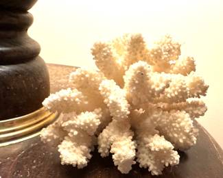 Coral- relax, it is very old.