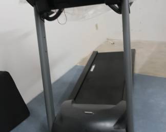 another  view  of  treadmill