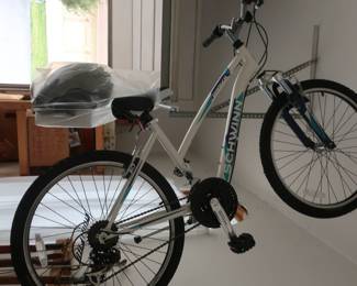 Schwinn bicycle