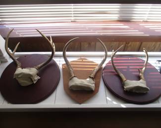 ANTLERS