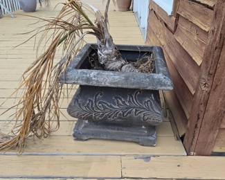 planters with palms (Assorted)