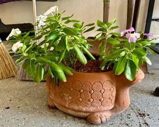 Terra-cotta Turtle Planter