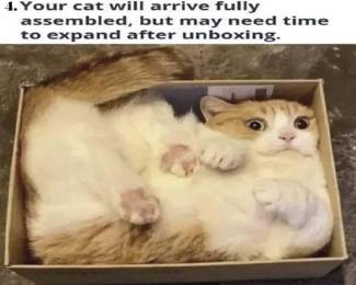 Come and find all sorts of treasures - this is a packed house and there is something for almost everyone.