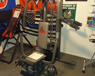 Weider home gym
