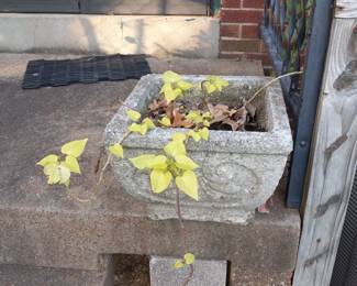 Items Located On The Back Patio