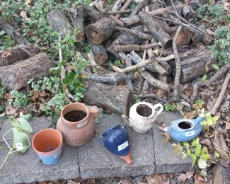 Items Located On The Back Patio