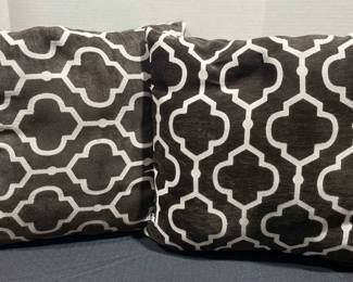 Pair Of Throw Pillows 