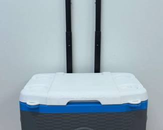 Quantum 28 Quart Cooler