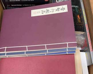 Mystery Lot Of Books Not In English 