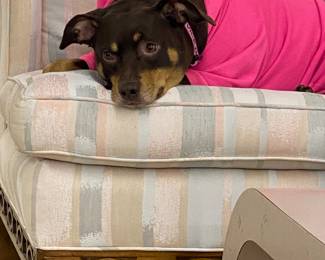 Zelda Modeling the Comfy Love Seat,Very good helper!!