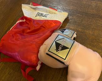 Boxing gloves with bag $10