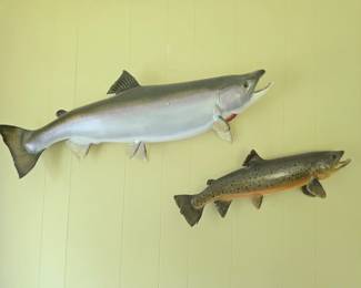 The Chinook is still available, the brown trout is sold.