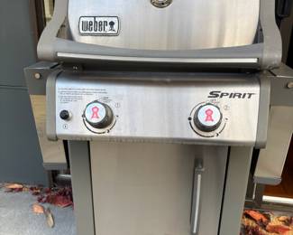 Weber Spirit 2-Burner Propane Grill