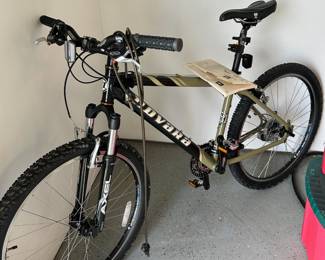 Novara Mountain Bike